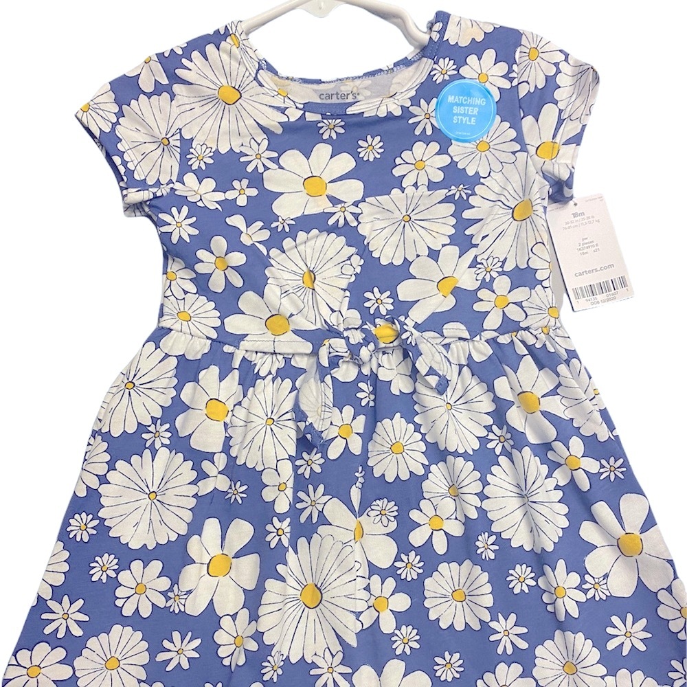 2 piece Carter’s Daisy dress